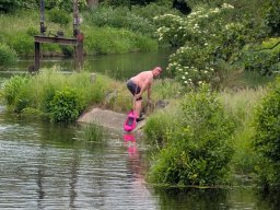 Mainschwimmen Juni 2026